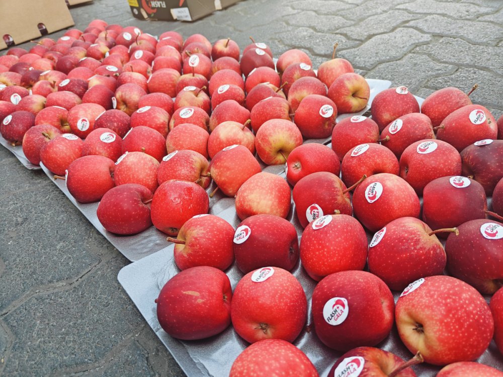 IMG20250502155711